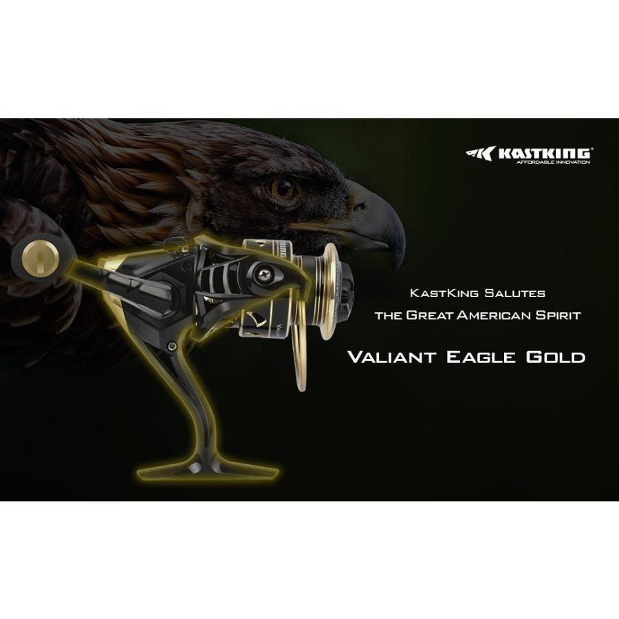 KASTKING（カストキング） Kastking 2000 Valiant Eagle Spinning Reel