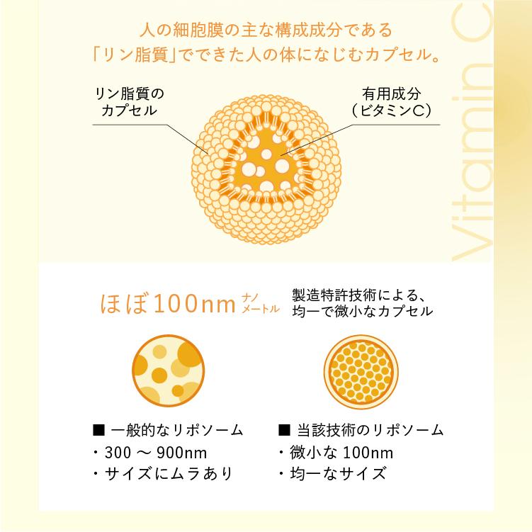 ビタミンC Lypo-C 公式 リポカプセルビタミンC (11包入) ×1箱 リポC 