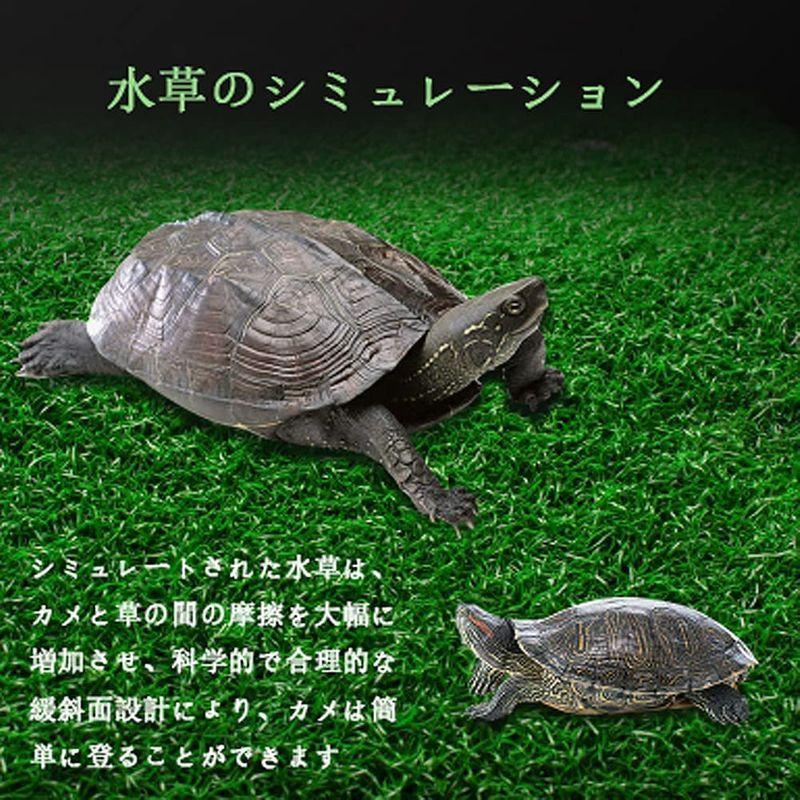 爬虫類 亀 浮き島 亀の日なたぼっ 日光浴 水槽台 タートルプラットフォーム 生息地 登り石 人工緑芝 両生類 カメ桟橋 亀用テラス M 015 L Y S Shop 通販 Yahoo ショッピング