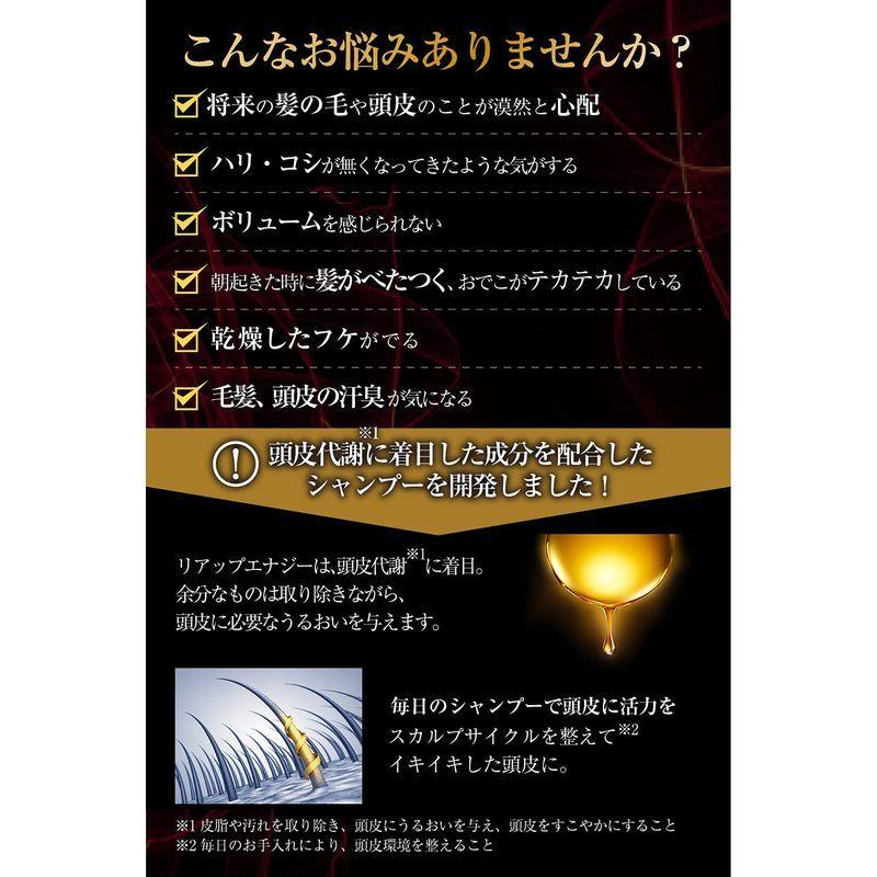 ついに入荷 大正製薬リアップエナジー薬用スカルプパックコンディショナートリートメント本体 リアップエナジー薬用スカルプパックコンディショナートリートメント