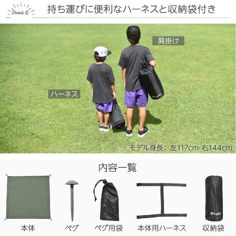 【値下げ】ラグ⭐︎カーペット⭐︎キャンプシート2枚セット レビュー投稿で1年保証） ライシン 改良版 レジャーシート 2Way