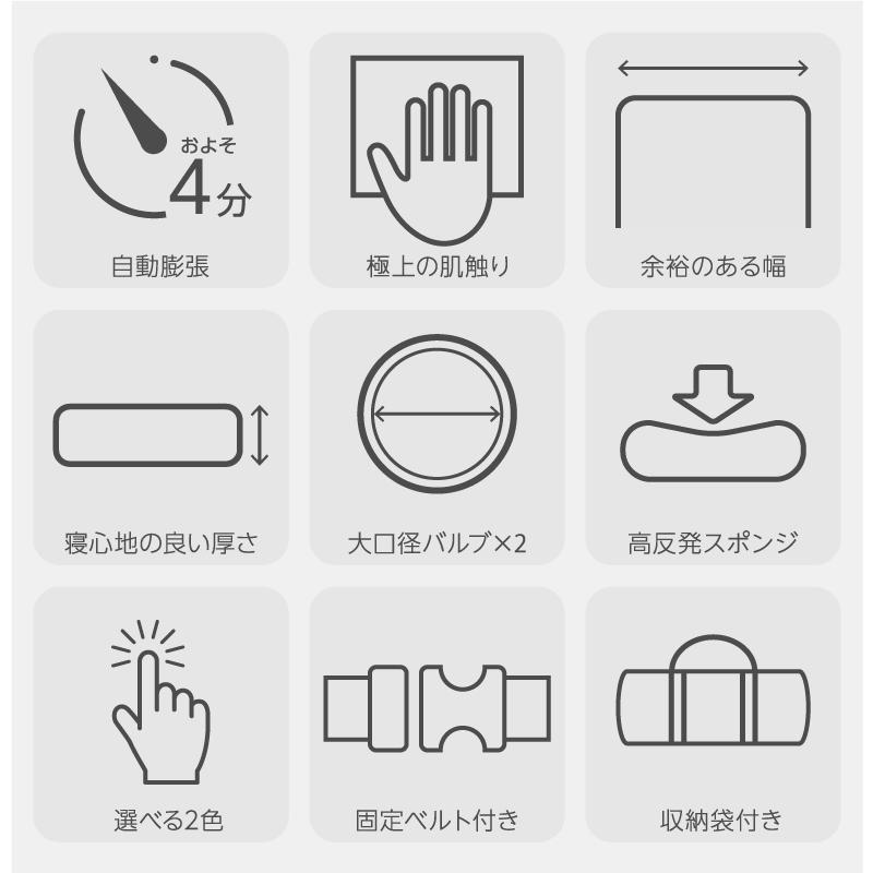 （レビュー投稿で1年保証） ライシン インフレーターマット ダブル 極上 幅130cm 厚さ10cm キャンプ マット |  | 01