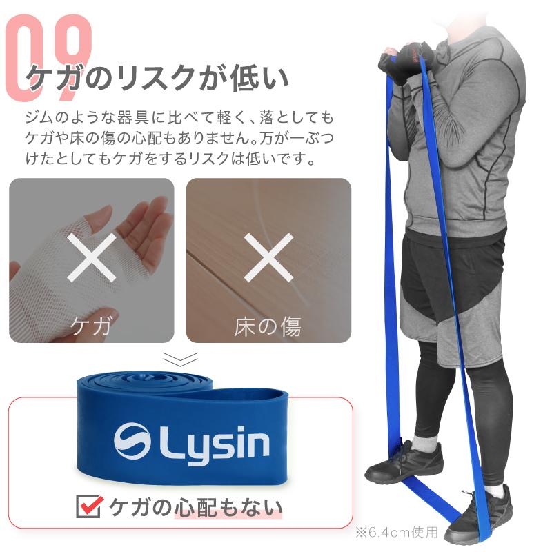 （レビュー投稿で1年保証） ライシン トレーニングチューブ 10.2cm 負荷レベル8/8 ゴム バンド 筋トレ エクササイズ |  | 11