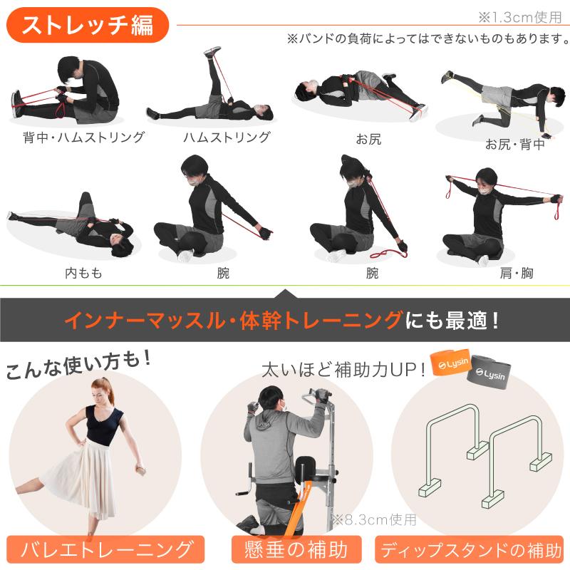 （レビュー投稿で1年保証） ライシン トレーニングチューブ 3.2cm 負荷レベル4/8 ゴム バンド 筋トレ エクササイズ |  | 09