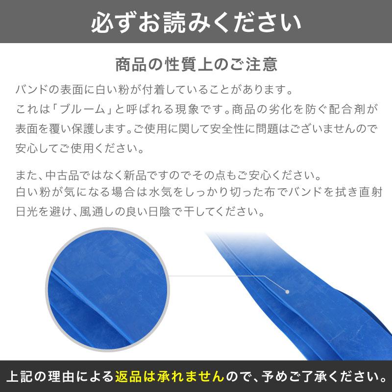 （レビュー投稿で1年保証） ライシン トレーニングチューブ 6.4cm 負荷レベル6/8 ゴム バンド 筋トレ エクササイズ |  | 14