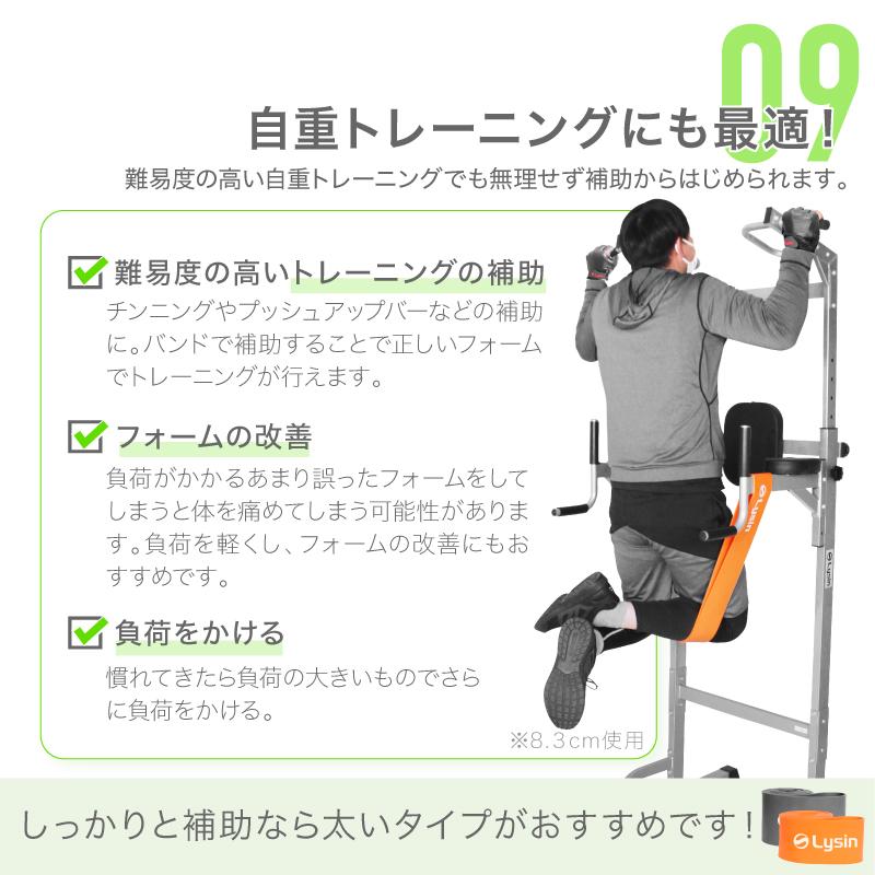 （レビュー投稿で1年保証） ライシン トレーニングチューブ 強度別 フルセット 収納袋付き ゴム バンド 筋トレ エクササイズ |  | 12