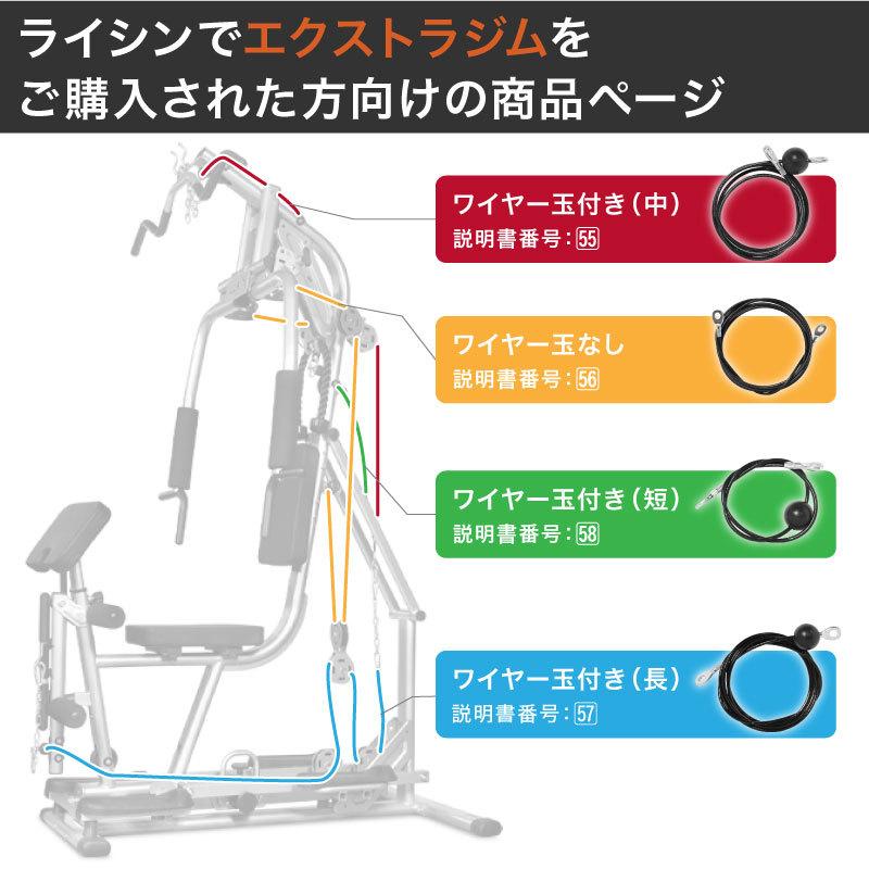 ライシン エクストラジム 専用 ワイヤー : ライシン Yahoo!店 - 通販 