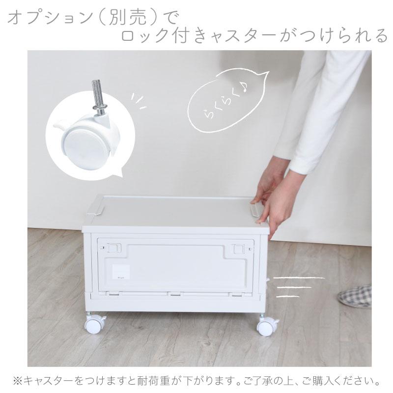 （レビュー投稿で1年保証）（特注品） ライシン 折りたたみ コンテナボックス キッチン 収納 ボックス 43L 1箱のみ |  | 12