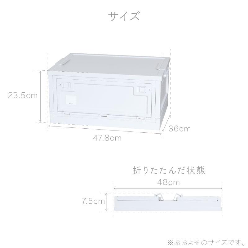 （レビュー投稿で1年保証）（特注品） ライシン 折りたたみ コンテナボックス キッチン 収納 ボックス 43L 1箱のみ |  | 14
