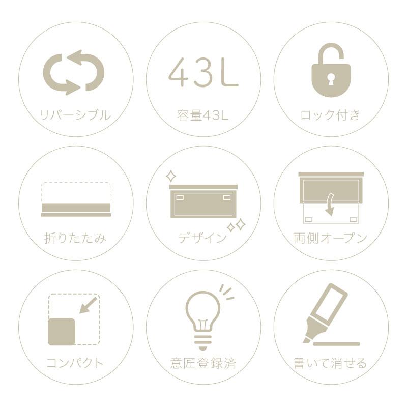 （レビュー投稿で1年保証）（特注品） ライシン 折りたたみ コンテナボックス キッチン 収納 ボックス 43L 1箱のみ |  | 01
