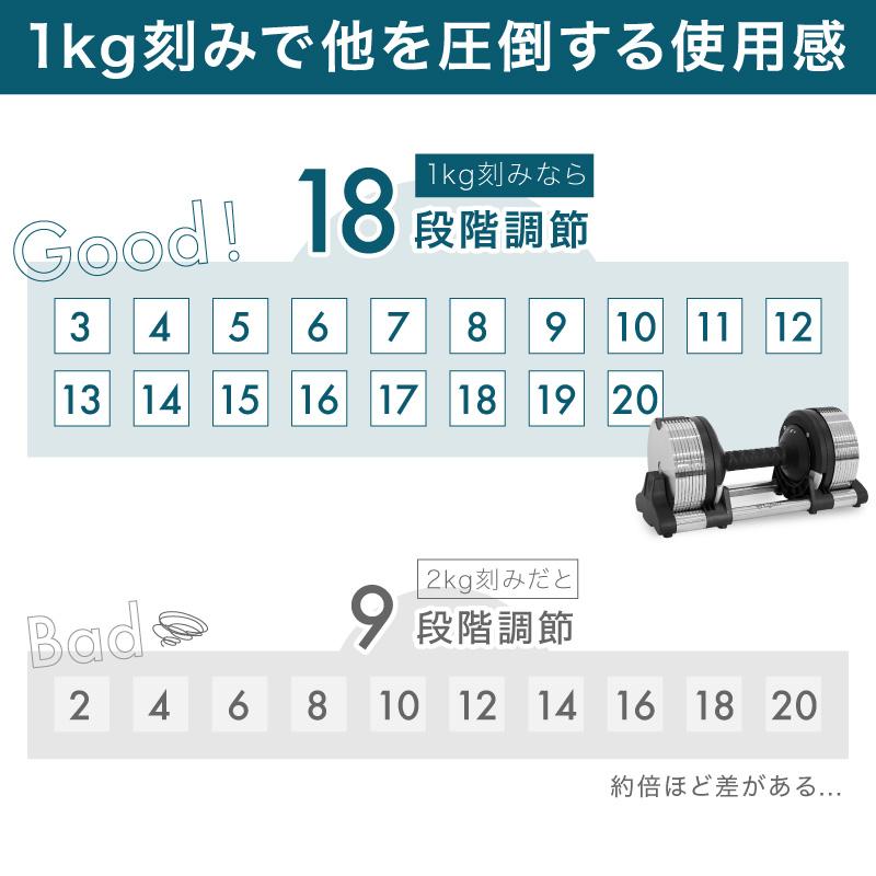 レビュー投稿で2年保証） ライシン ヘリックスミラー 1kg刻み 20kg 2個