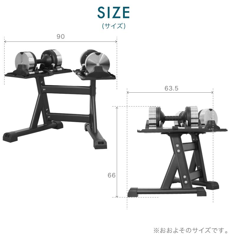 レビュー投稿で2年保証） ライシン ヘリックスミラー 1kg刻み 20kg 2個