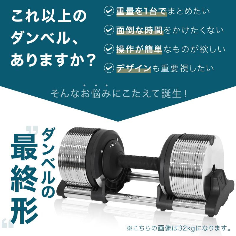 レビュー投稿で2年保証） ライシン ヘリックスミラー 1kg刻み 20kg 1個