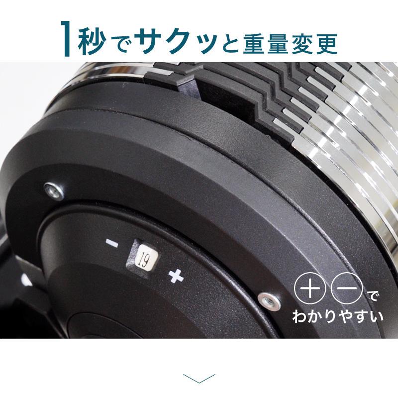 レビュー投稿で2年保証） ライシン ヘリックスミラー 1kg刻み 20kg 1個