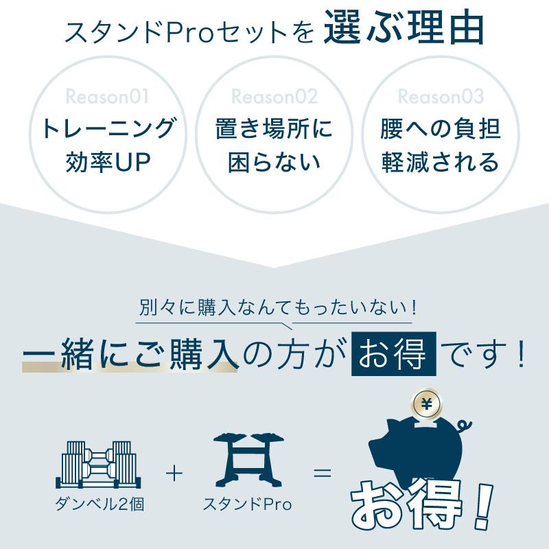 レビュー投稿で2年保証） ライシン ヘリックスミラー 1kg刻み 40kg 2個