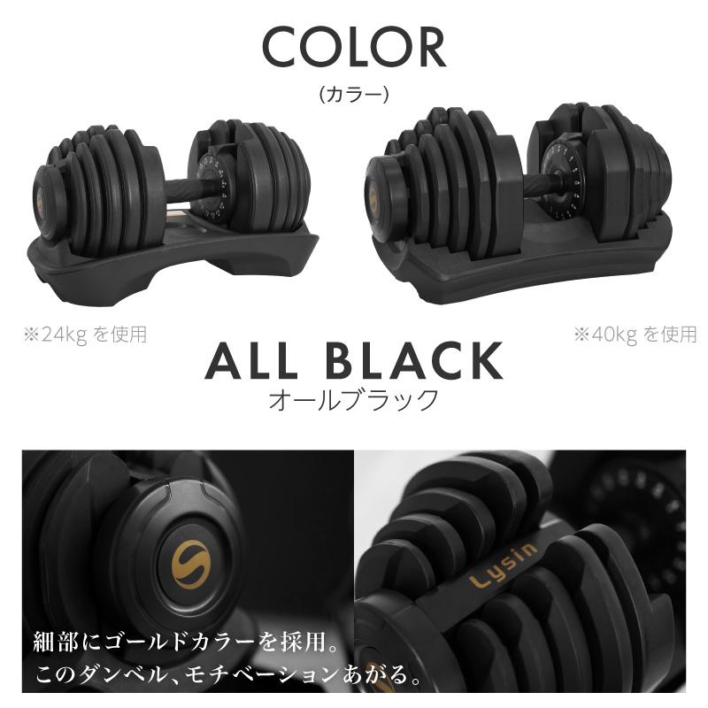 Lysin PUMPKING ライシンパンプキング可変式ダンベル40kg 2個