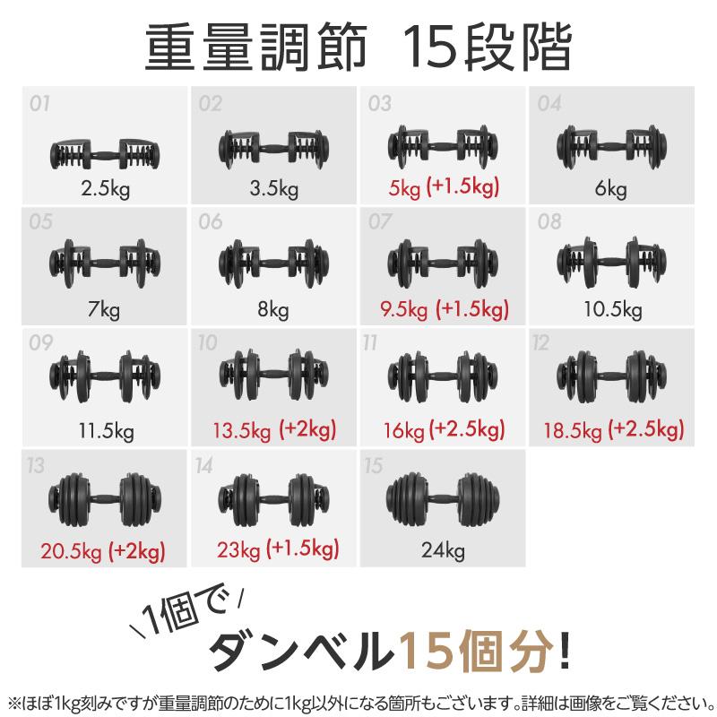 新発売）（レビュー投稿で2年保証） ライシン パンプキング 片手
