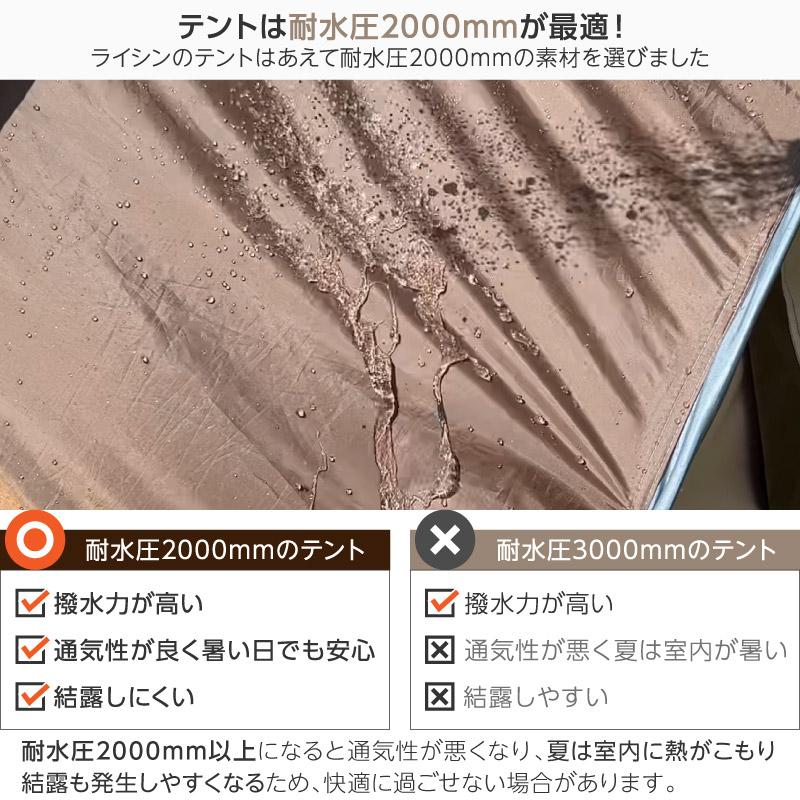 レビュー投稿で1年保証)(前後ダブルドア仕様) ライシン レビュー投稿で1年保証)(前後ダブルドア仕様) ライシン