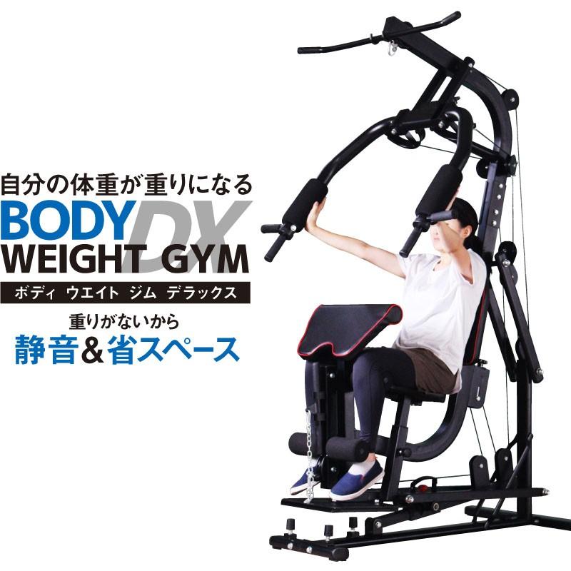 ライシン ホームジム DX マルチ トレーニング 器具 セット 総合 ライシン ホームジム DX マルチ トレーニング 器具 セット 総合