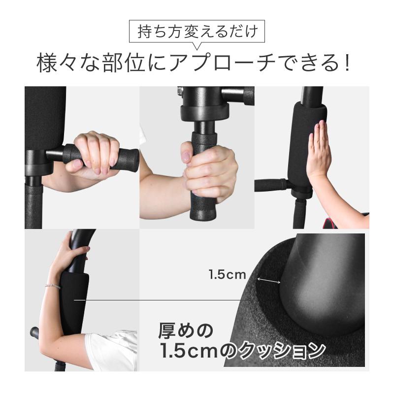 ライシン ホームジム DX マルチ トレーニング 器具 セット 総合 大型