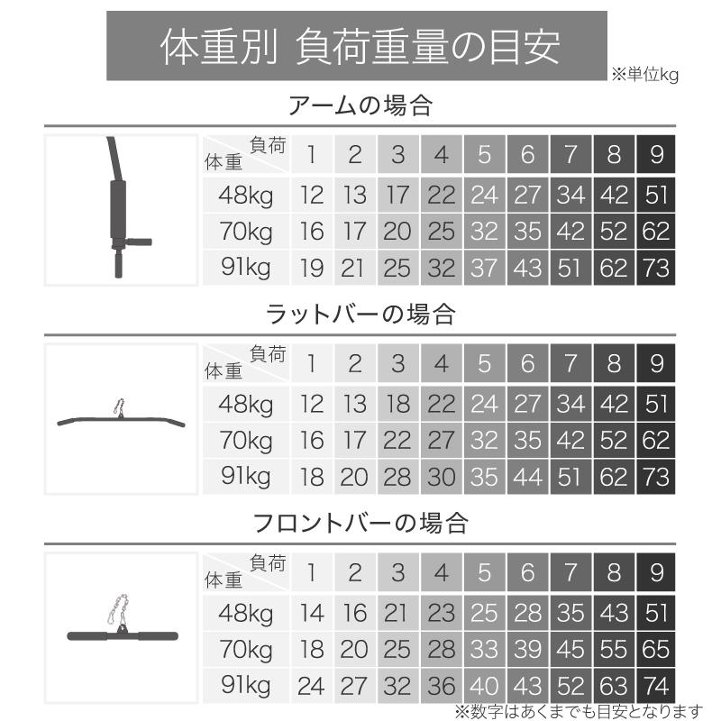 年に一度の総決算 最大10倍） ライシン ホームジム DX マルチ