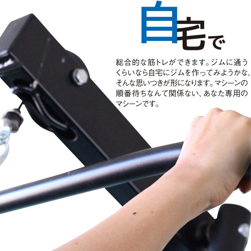 ライシン ホームジム DX マルチ トレーニング 器具 セット 総合 ライシン ホームジム DX マルチ トレーニング 器具 セット 総合