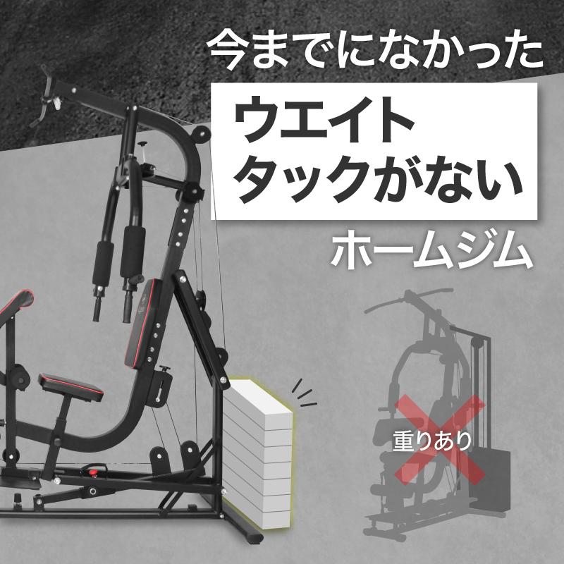 ライシン ホームジム DX マルチ トレーニング 器具 セット 総合 大型