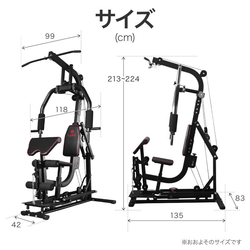 ライシン ホームジム DX マルチ トレーニング 器具 セット 総合 大型