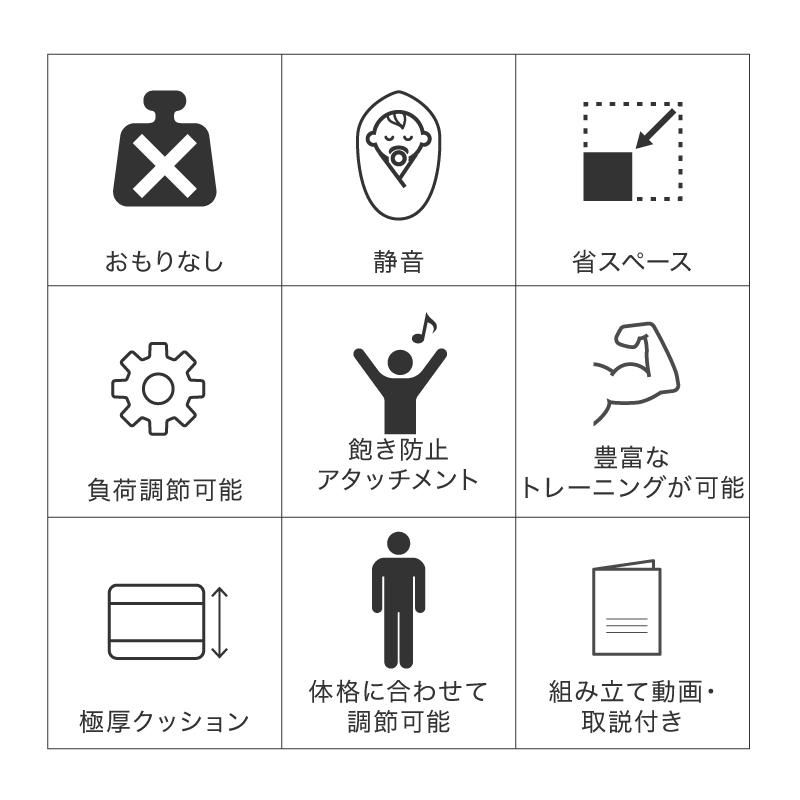 ライシン ホームジム DX マルチ トレーニング 器具 セット 総合 大型