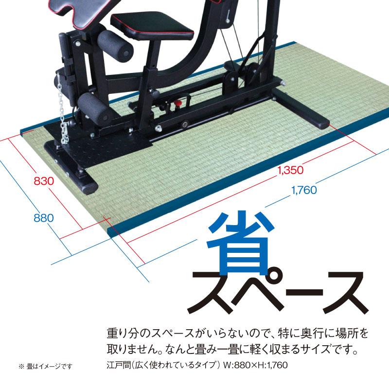 ライシン ホームジム DX マルチ トレーニング 器具 セット 総合 ライシン ホームジム DX マルチ トレーニング 器具 セット 総合