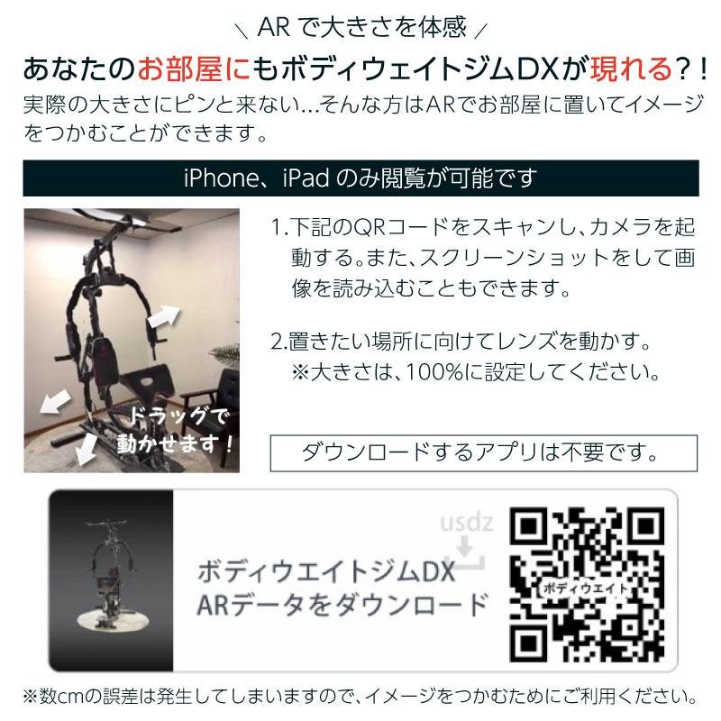 ライシン ホームジム DX マルチ トレーニング 器具 セット 総合 ライシン ホームジム DX マルチ トレーニング 器具 セット 総合