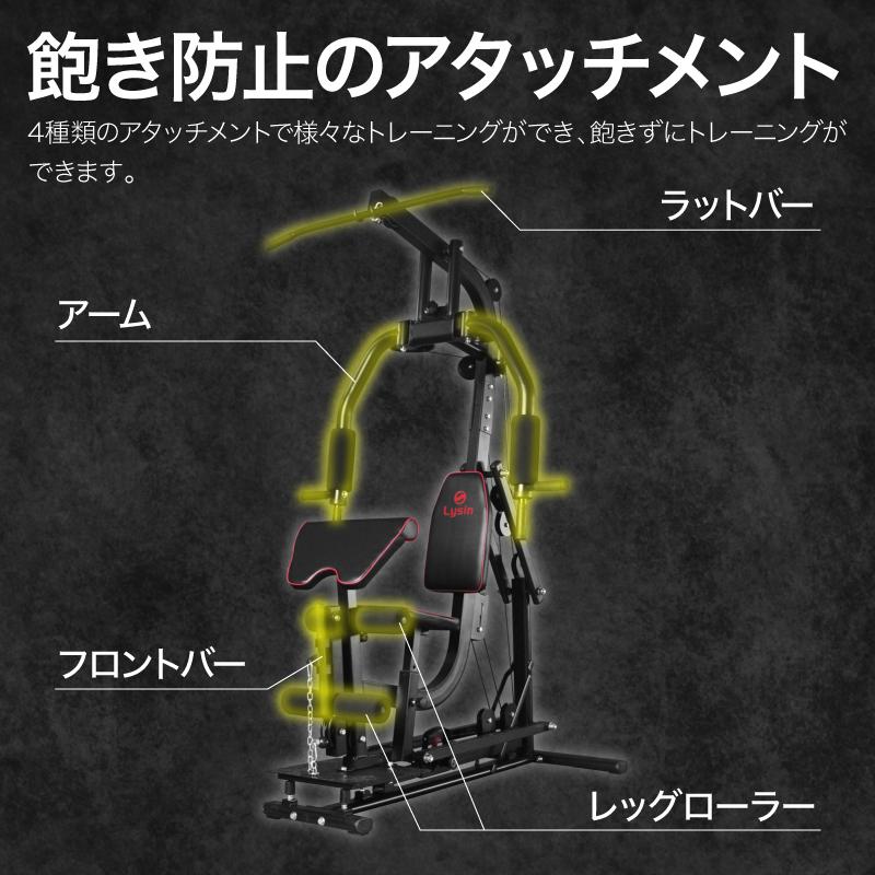 ライシン ホームジム DX マルチ トレーニング 器具 セット 総合 大型