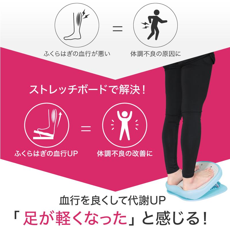 （レビュー投稿で1年保証） ライシン ストレッチボード ふくらはぎ 9段階 マグネット 付き コンパクト 軽量 耐荷重 150kg |  | 03