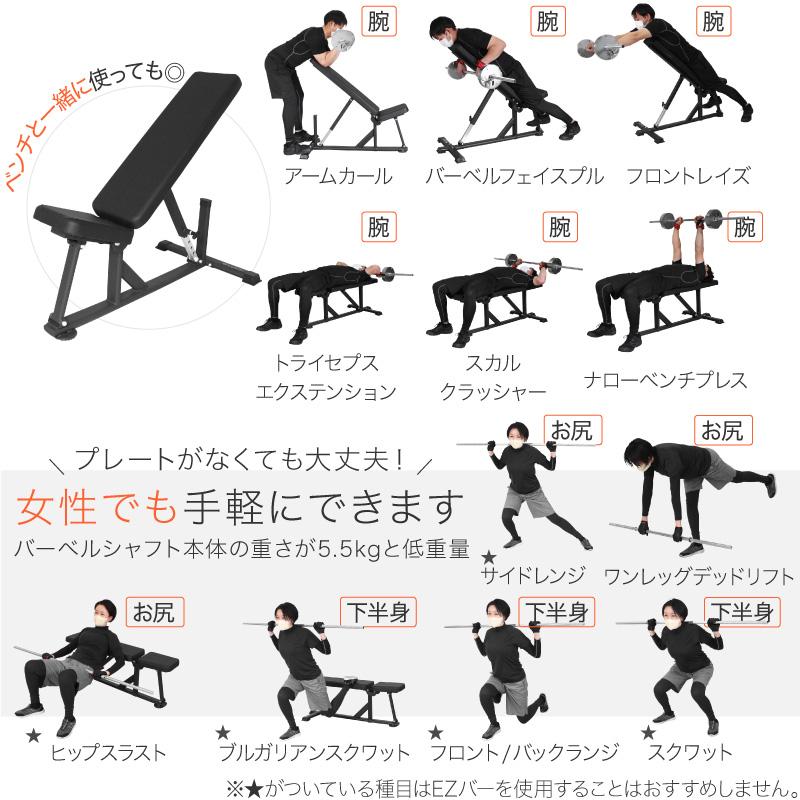 レビュー投稿で1年保証) ライシン バーベルシャフト フレックス レビュー投稿で1年保証) ライシン バーベルシャフト フレックス