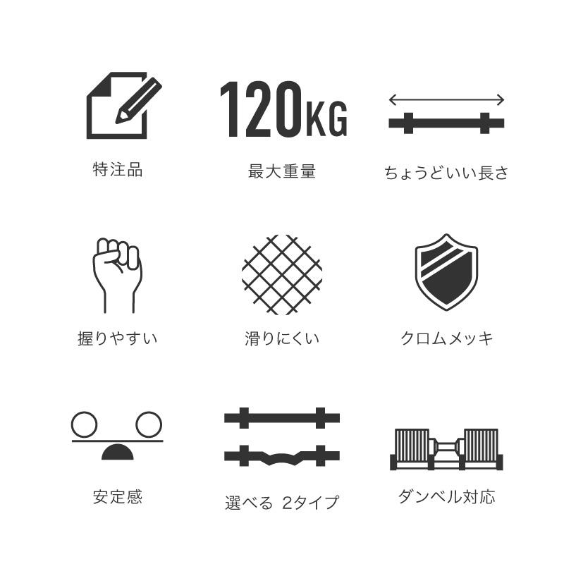 レビュー投稿で1年保証) ライシン バーベルシャフト フレックス レビュー投稿で1年保証) ライシン バーベルシャフト フレックス