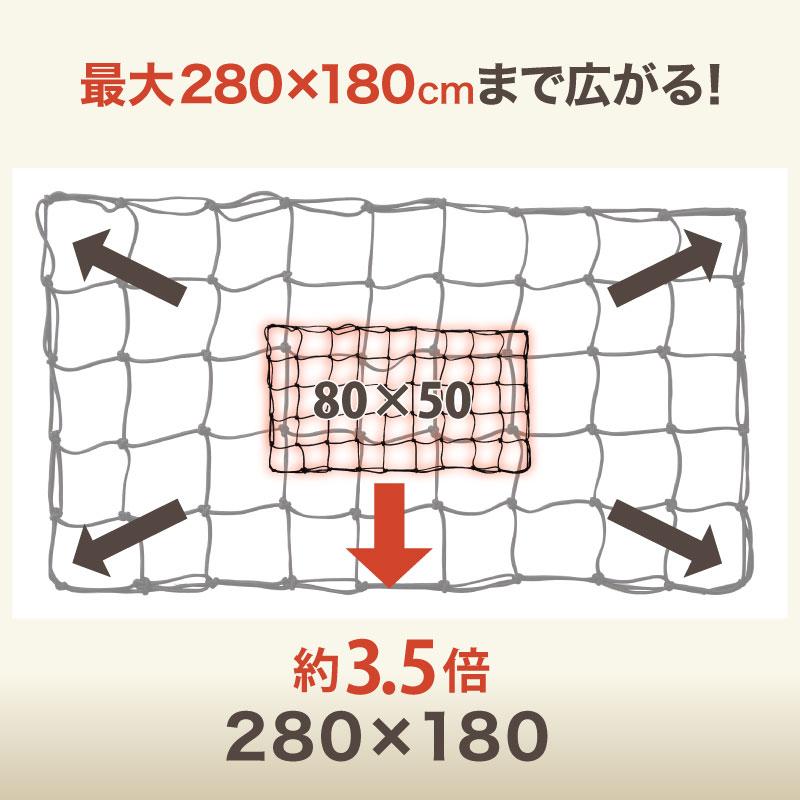 （年に一度の総決算 最大10倍） ライシン ラテックス素材 カーゴネット 80×50cm ABS樹脂 フック 8個 付き 汎用 ゴムネット ロープネット 荷物 ネット |  | 05