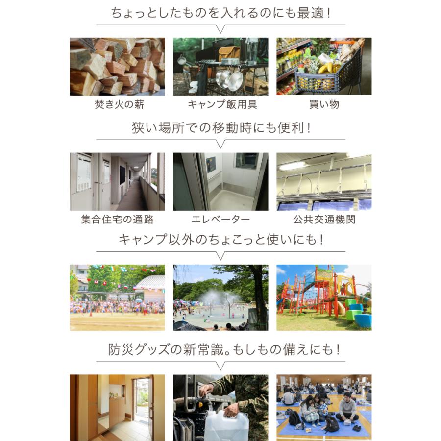 （レビュー投稿で2年保証） ライシン アウトドアワゴン 最大110L 拡張機能 キャリーワゴン Eシリーズ キャリーカート ミニ 折りたたみの画像