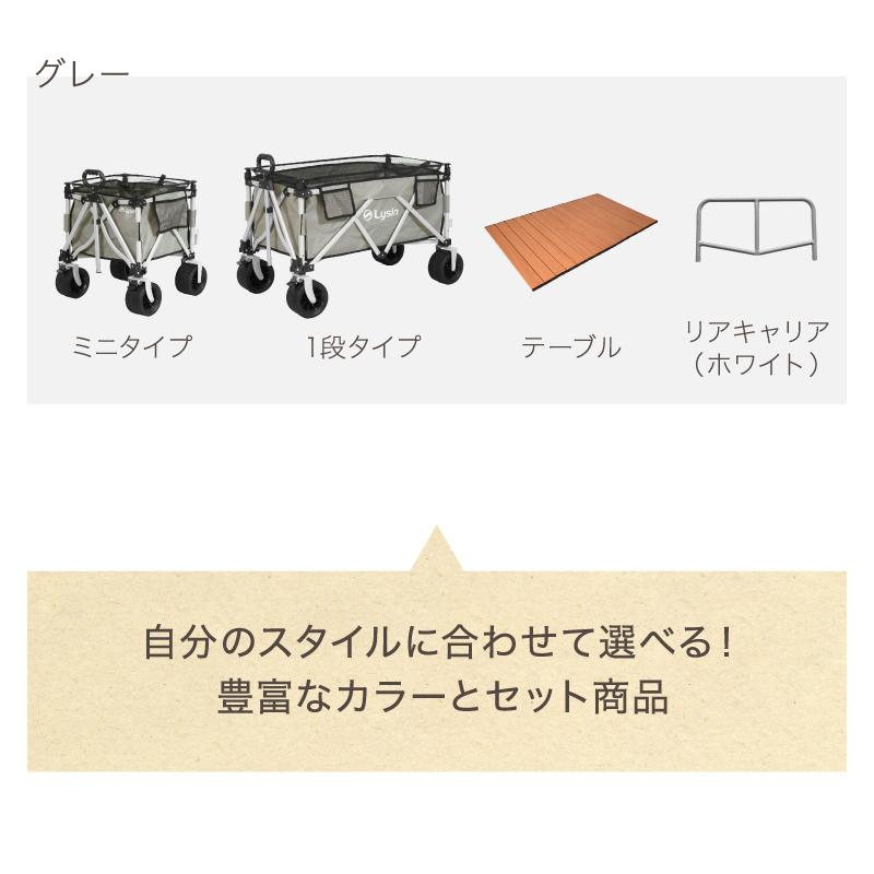 レビュー投稿で2年保証） ライシン アウトドアワゴン Eシリーズ 4点 