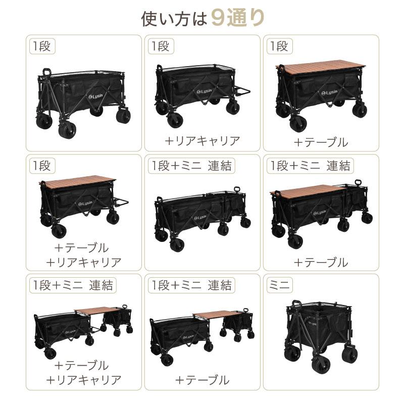 レビュー投稿で2年保証） ライシン アウトドアワゴン Eシリーズ 4点