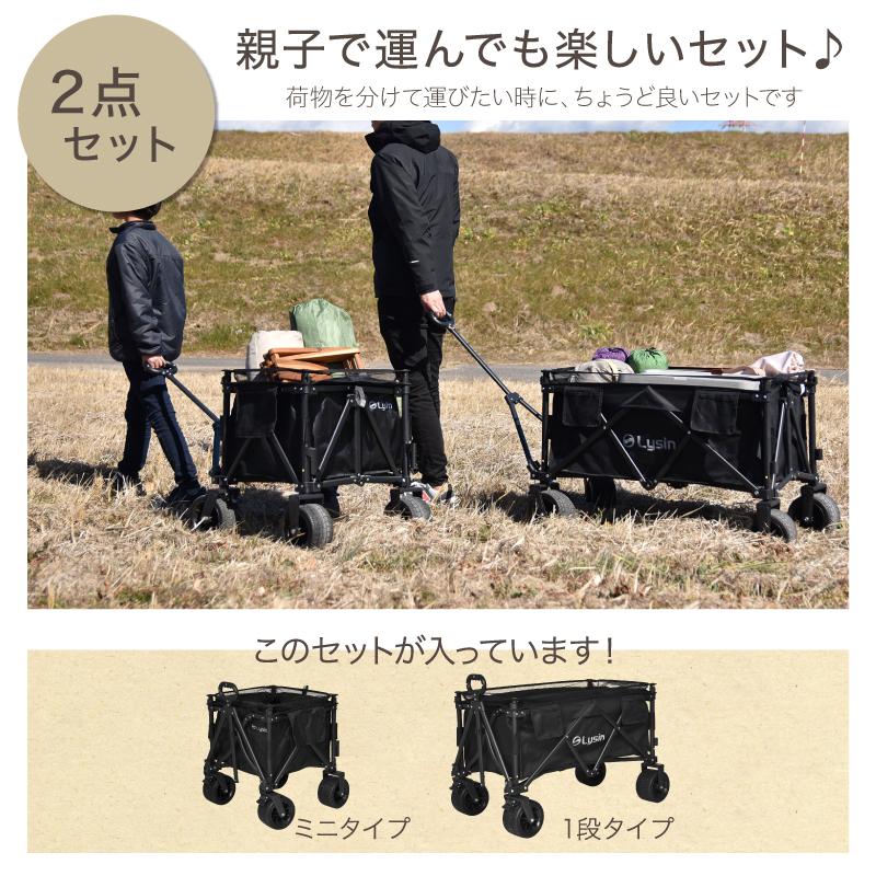 レビュー投稿で2年保証） ライシン アウトドアワゴン Eシリーズ 2点 