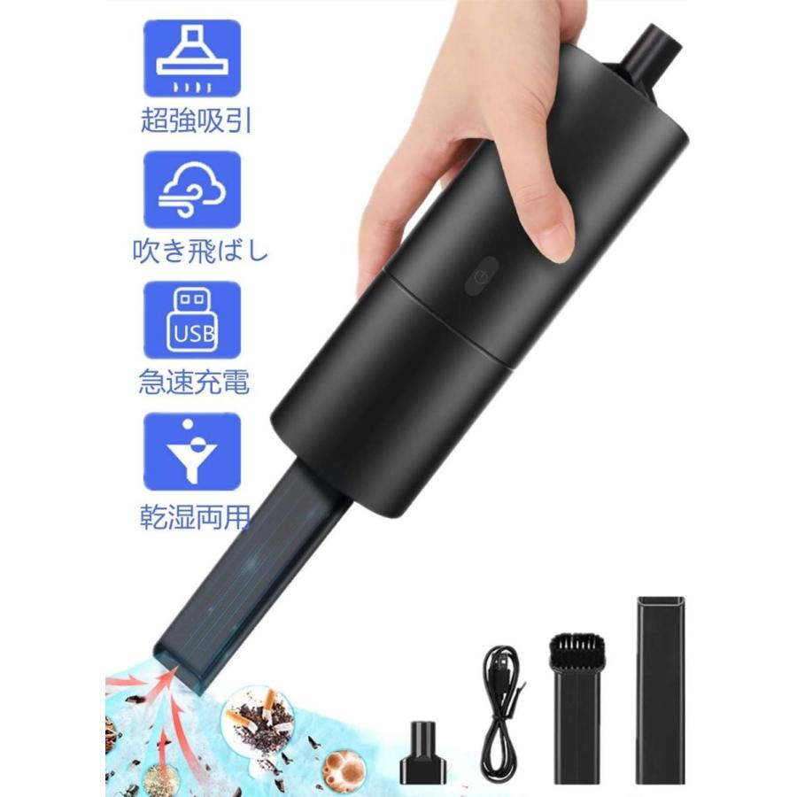 加 版車用掃除機 ハンディクリーナー コードレス 掃除機 カークリーナー 超強吸引力 乾湿両用 静音 軽量 小型 Usb充電式 30分間連続 Budynak By