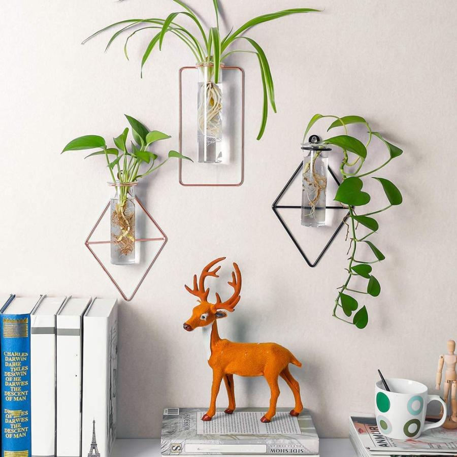 Baoyouni 壁掛け 花瓶 ミニ花器 ガラス製 透明 フラワーベース 一輪挿し 水栽培 試験管 ガラス管 ミニ 一輪挿し おしゃれ 多肉 Fcekano Edu Ng