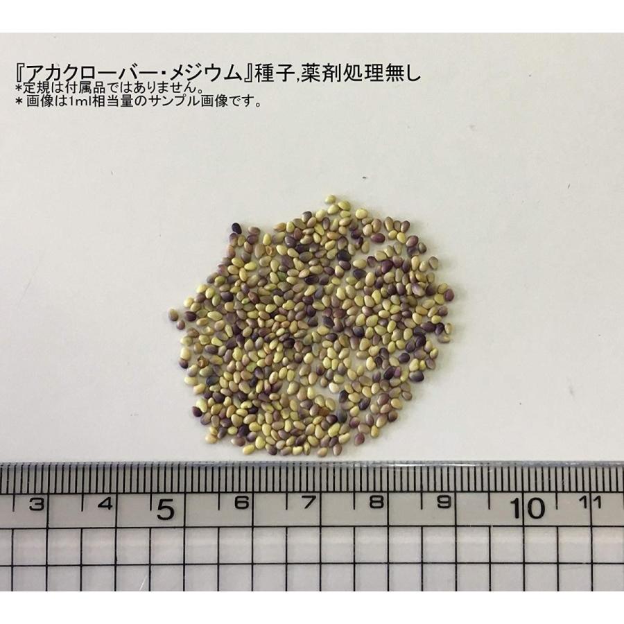 福花園種苗 アカクローバー メジウム 種子1l詰 Sagaretxe Net