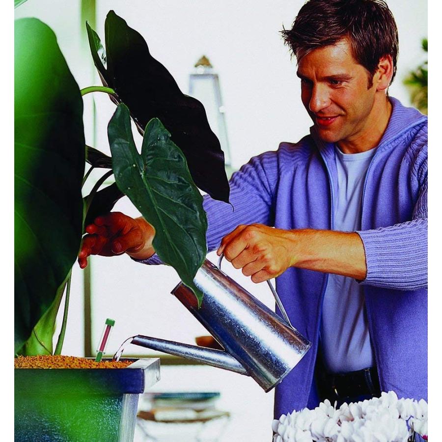 Seramis セラミス 室内観葉植物用液体肥料 0ml 室内園芸 室内ガーデニング 観葉植物 Revoke Teslathemes Com