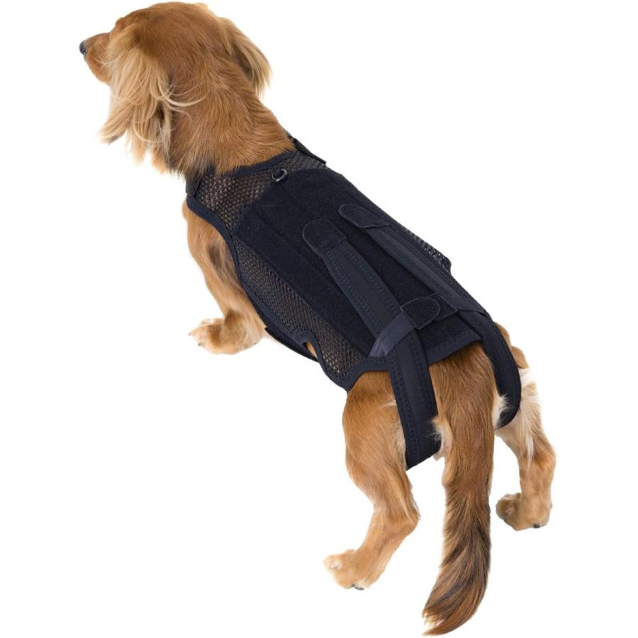 格安人気 アニフル Anifull わんコルプロ ブラック M 犬用コルセット 数量は多 Kwsrbd Com