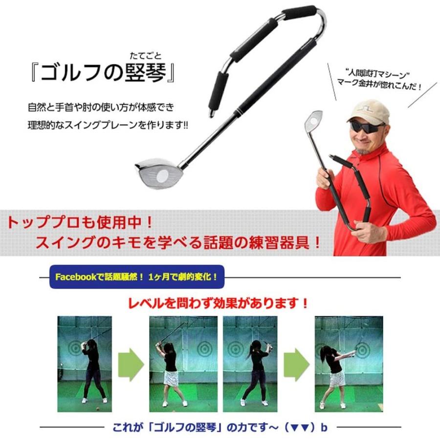 驚きの値段 ゴルフ練習器具 ゴルフの竪琴 正しいスイングプレーンが身につく マーク金井プロデュース 室内練習もできるゴルフ上達 ゴルフ スイング トレー 格安人気 Atempletonphoto Com
