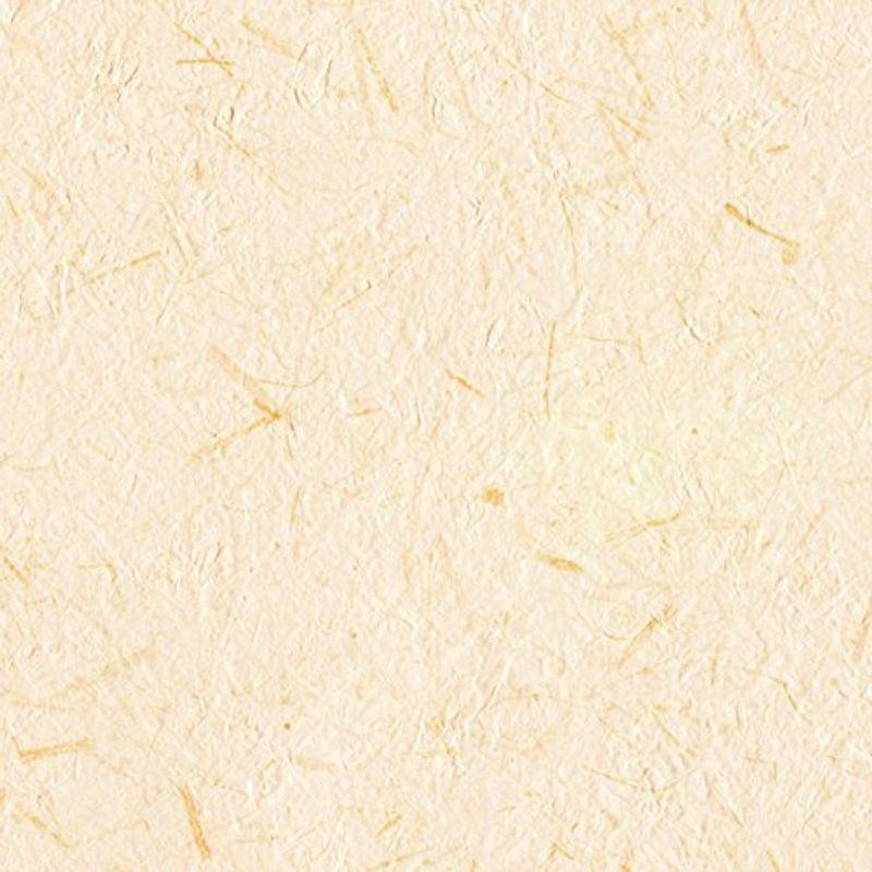 リリカラ 壁紙49m 和 和紙調 ブラウン 和 M 0403 壁紙49m 内装 Japan