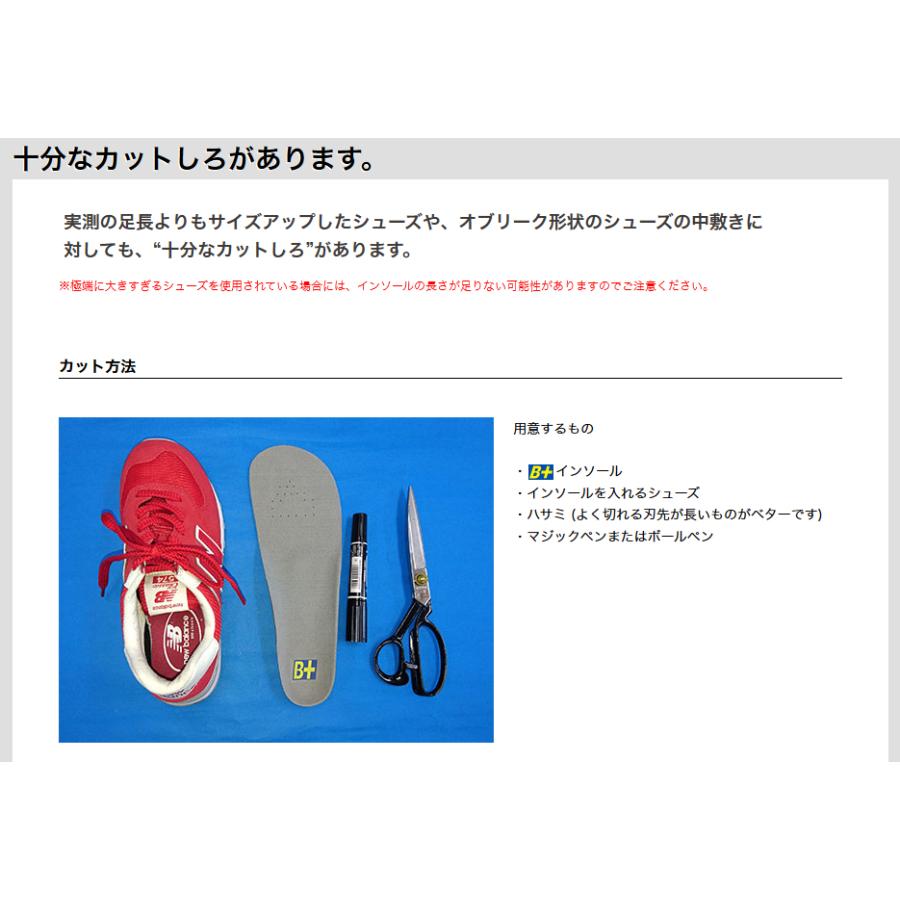 NEW MODEL】スキー・スノーボード用 インソール HOSHINO ホシノ B+