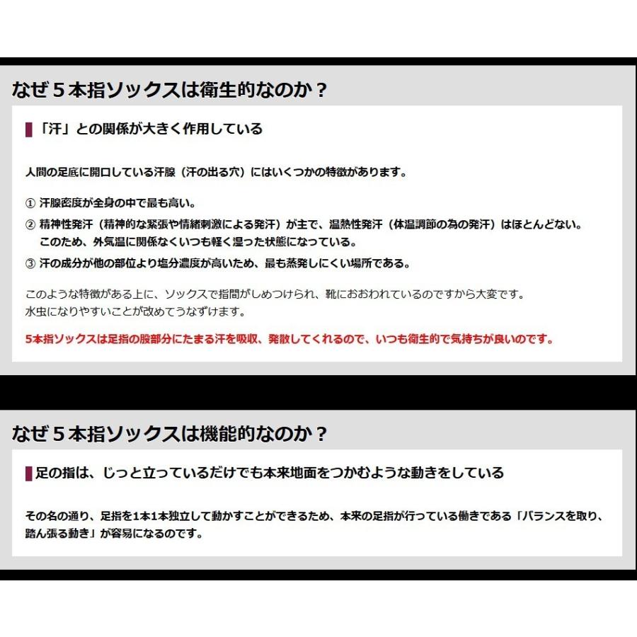 足をサポートする 薄手 保温ソックス ホシノ COCOON CLUB CO-39 22〜28cm スキンウール・オブリークスキー 足の形にフィット 吸汗 速乾 ロング丈｜m-and-agency｜04