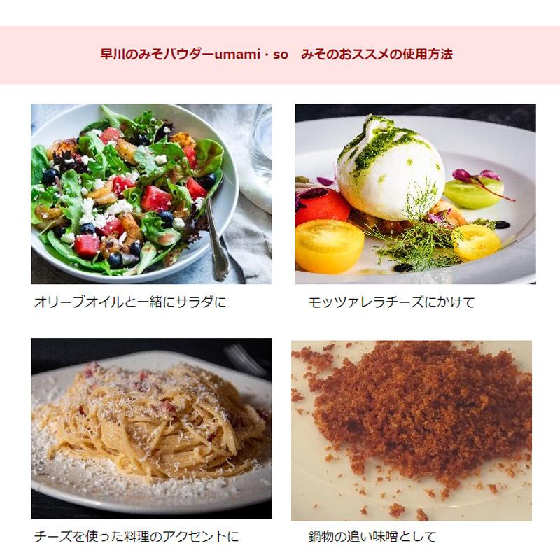 【ギフトセット】早川みそパウダー 「umami・so」 3種セット(みそプレーン・柚子・ごま 各70g）アウトドアスパイス うまみそ 乾燥味噌 粉末みそ無添加 詰め合せ｜m-and-agency｜09